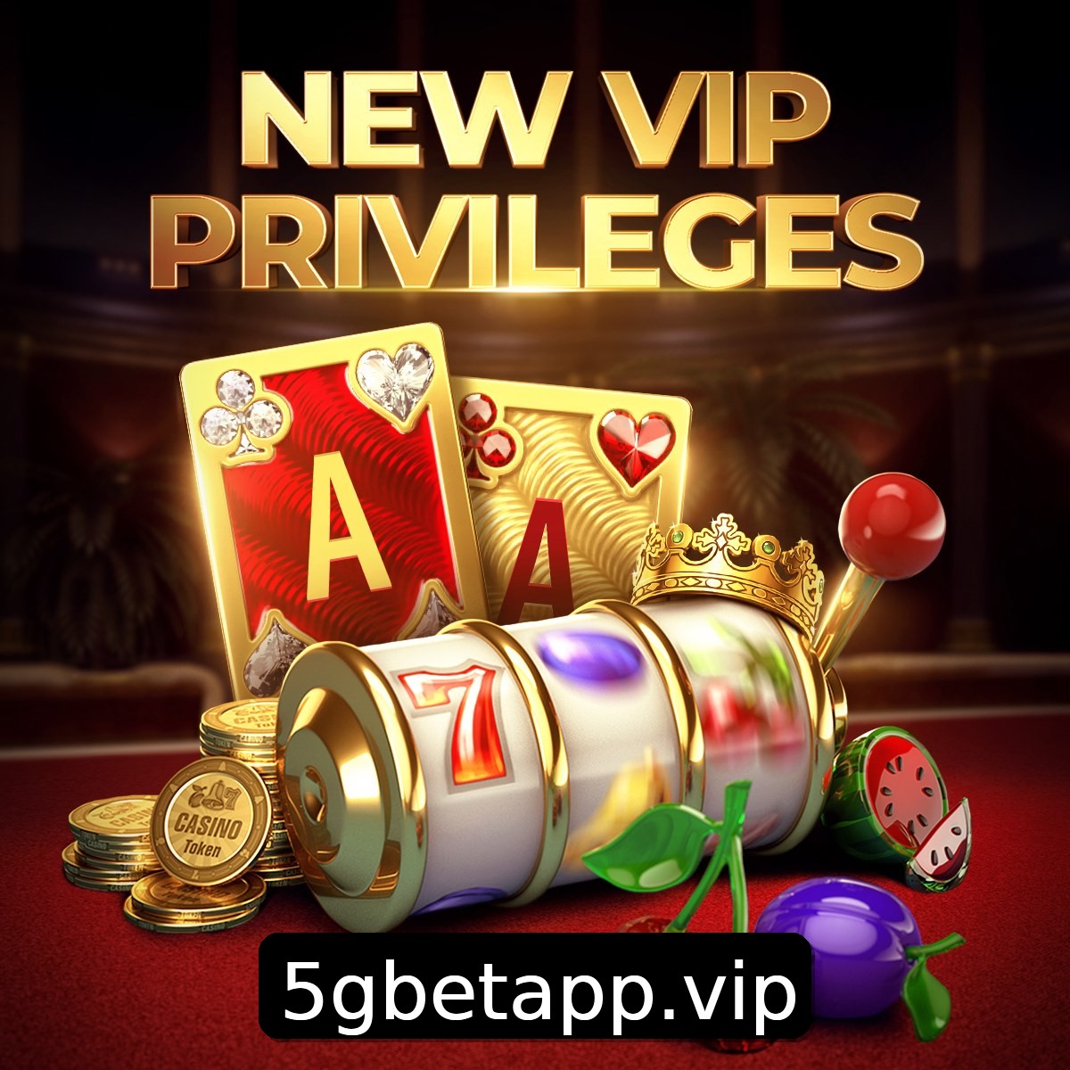 Programa VIP 5gbet